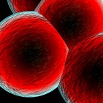 Blood Cells Large