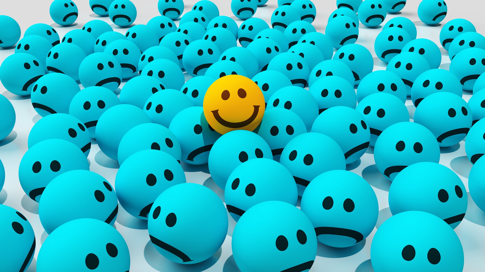 what's your happy, happy, happiness