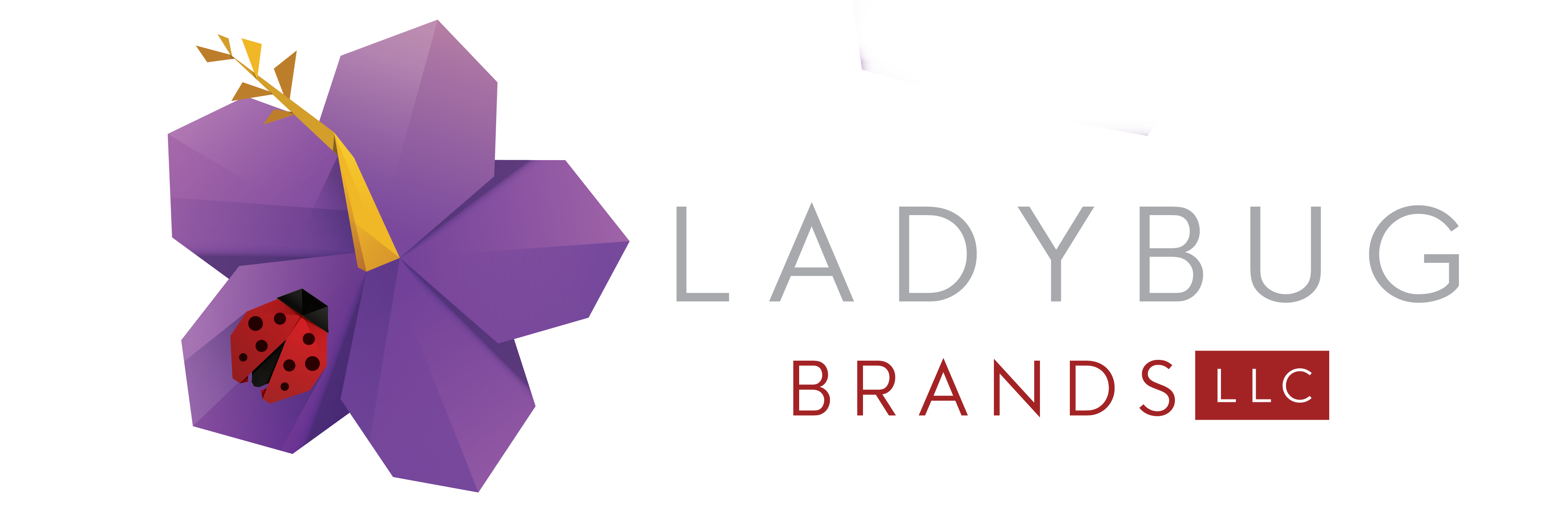 Ladybug Brands LLC